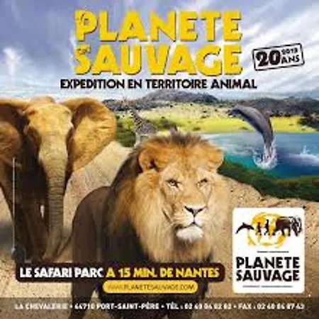 Semesterbostad Confortable A Avec Piscine Saint-Jean-de-Monts